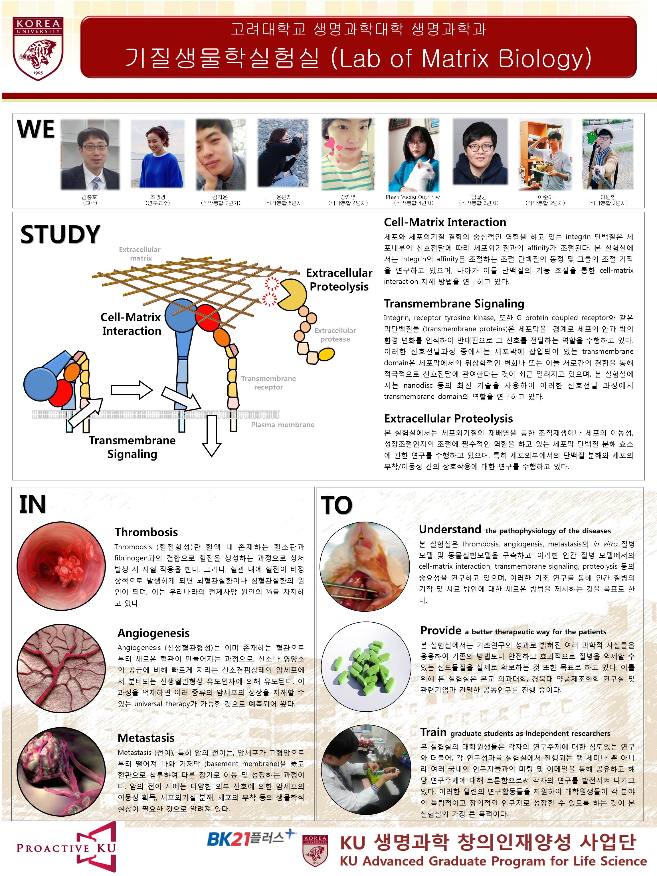 Research Introduction of Lab of Matrix Biology